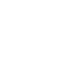 INA